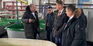 Сенатор Олег Земцов на Белоярском рыбзаводе