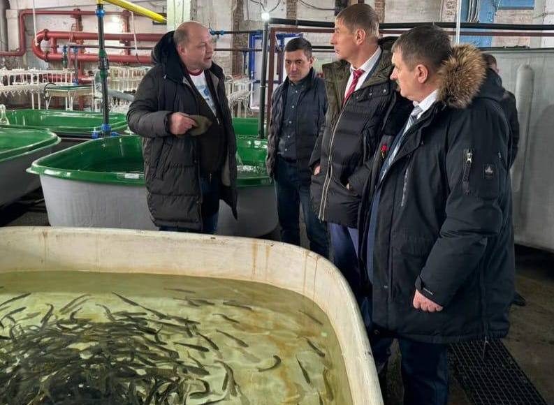 Сенатор Олег Земцов на Белоярском рыбзаводе