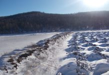Земельный участок. Фото предоставлено пресс-службой Россельхознадзора