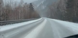 Фото ГИБДД