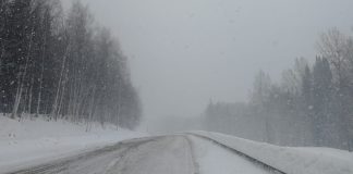 Фото ГИБДД