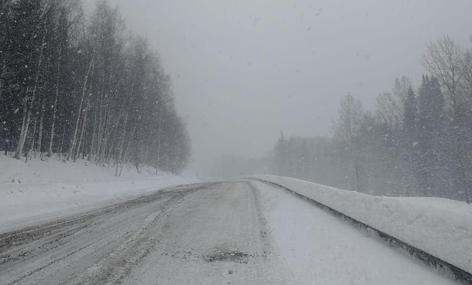 Фото ГИБДД Фото ГИБДД