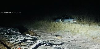 Фото ГИБДД