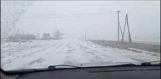 Фото ГИБДД