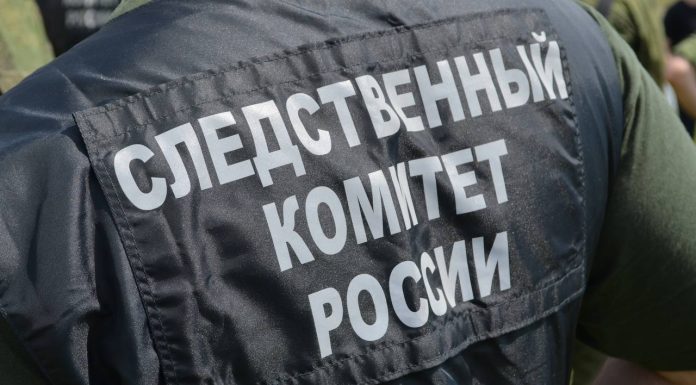 17-летний черногорец получил условный срок за дропперство Следственный комитет