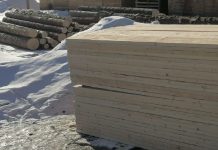 Фото предоставлено Пресс-службой Сибирского ЛУ МВД России