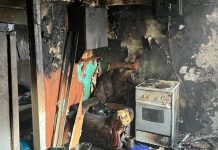 Пожар. Фото МЧС по РХ