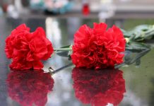 Гвоздики. Изображение из фотобанка