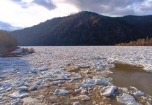 Абаза. Фото Администрации Абазы