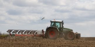 Сельское хозяйство. Поле. Трактор. Удобрения. Изображение из фотобанка