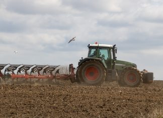 В России появятся электронные права на управление самоходной техникой Сельское хозяйство. Поле. Трактор. Изображение из фотобанка