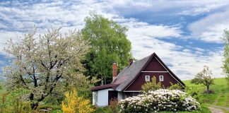 Дом. Деревня. Изображение из фотобанка