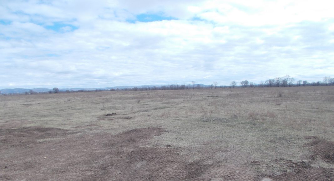 Участок. Фото Пресс-службы Управления Россельхознадзора по РХ