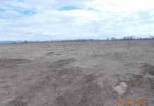 Участок. Фото Пресс-службы Управления Россельхознадзора по РХ