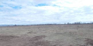 Участок. Фото Пресс-службы Управления Россельхознадзора по РХ