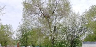 Фото: МБУ «Городская ритуальная служба»