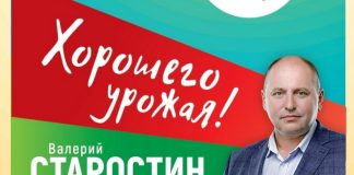Изображение со страницы Валерия Старостина