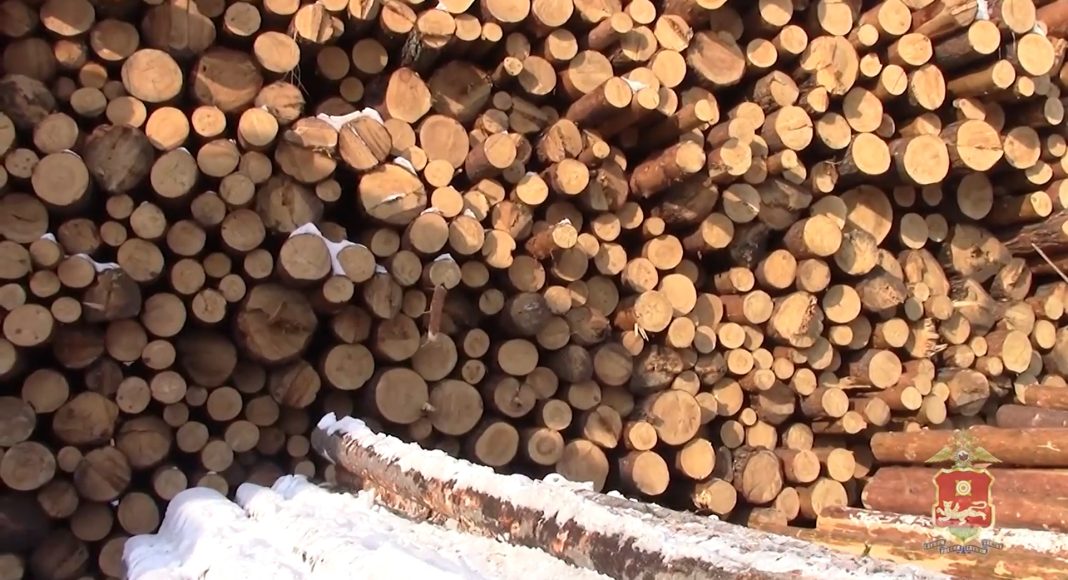 Кадр съемки МВД