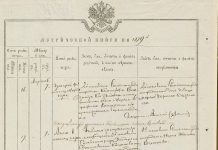 Фото предоставлено Алексеем Нилоговым