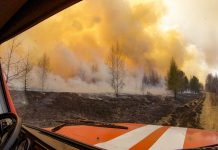 Фото предоставлено пресс-службой Минлеса Хакасии