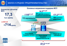 Налоги+мсп. Фото пресс-службы главы Хакасии