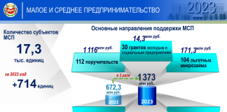 Налоги+мсп. Фото пресс-службы главы Хакасии