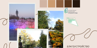 Отбор ФКГС. Изображение пресс-службы Администрации Абакана