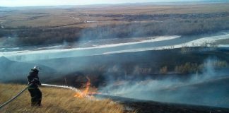 Пал травы. Фото МЧС по РХ