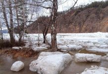 Абаза. Фото Администрации Абазы