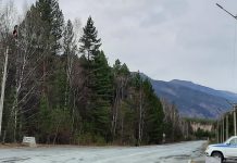 Пост Абаза. Фото пресс-службы Россельхознадзора