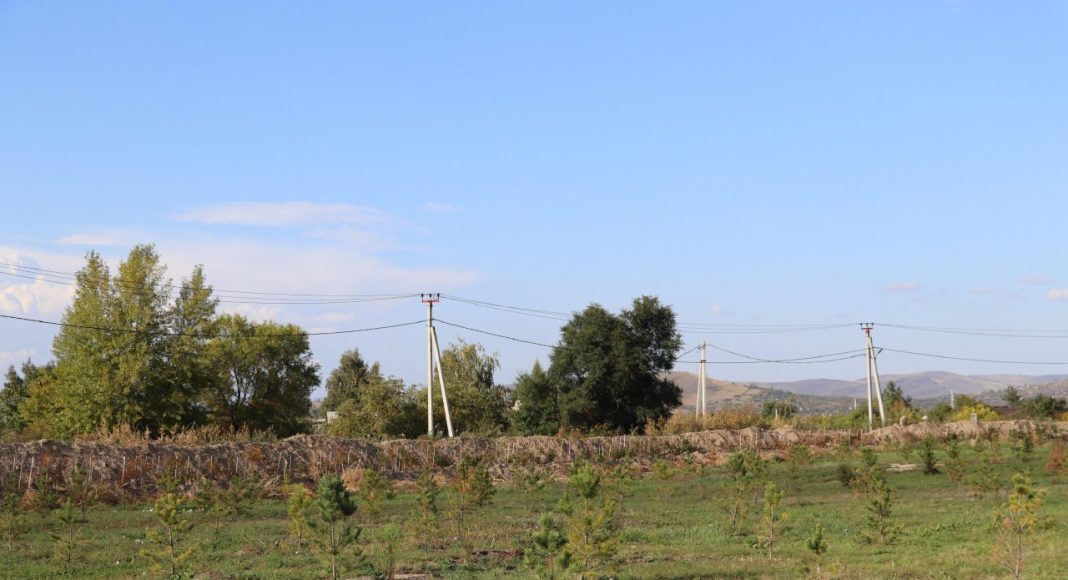 Фото: Абакан.рф