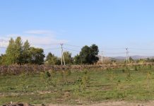 Фото: Абакан.рф