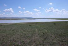 Фото из телеграм-канала администрации Усть-Абаканского района