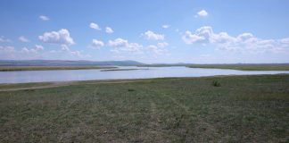 Фото из телеграм-канала администрации Усть-Абаканского района