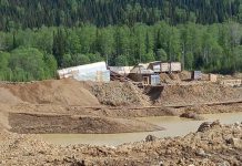 Фото из телеграм-канала главы Росприроднадзора