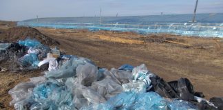 Фото предоставлено пресс-службой Россельхознадзора