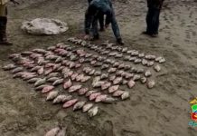 Фото пресс-службы Абаканского ЛО МВД