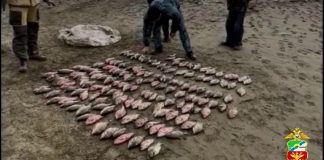 Фото пресс-службы Абаканского ЛО МВД