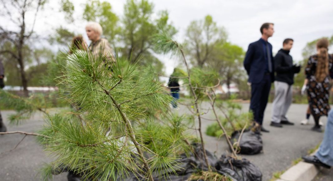 Фото: r-19.ru Фото: r-19.ru