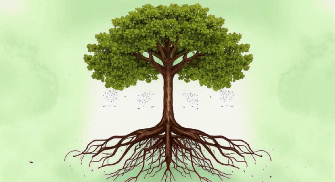 История. Дерево. Изображение kandinsky