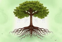 История. Дерево. Изображение kandinsky