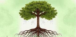 История. Дерево. Изображение kandinsky