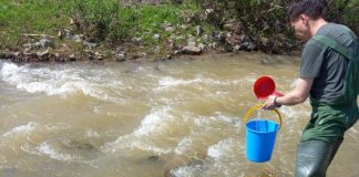 Река Магазы. Фото с телеграм-канала Светланы Радионовой