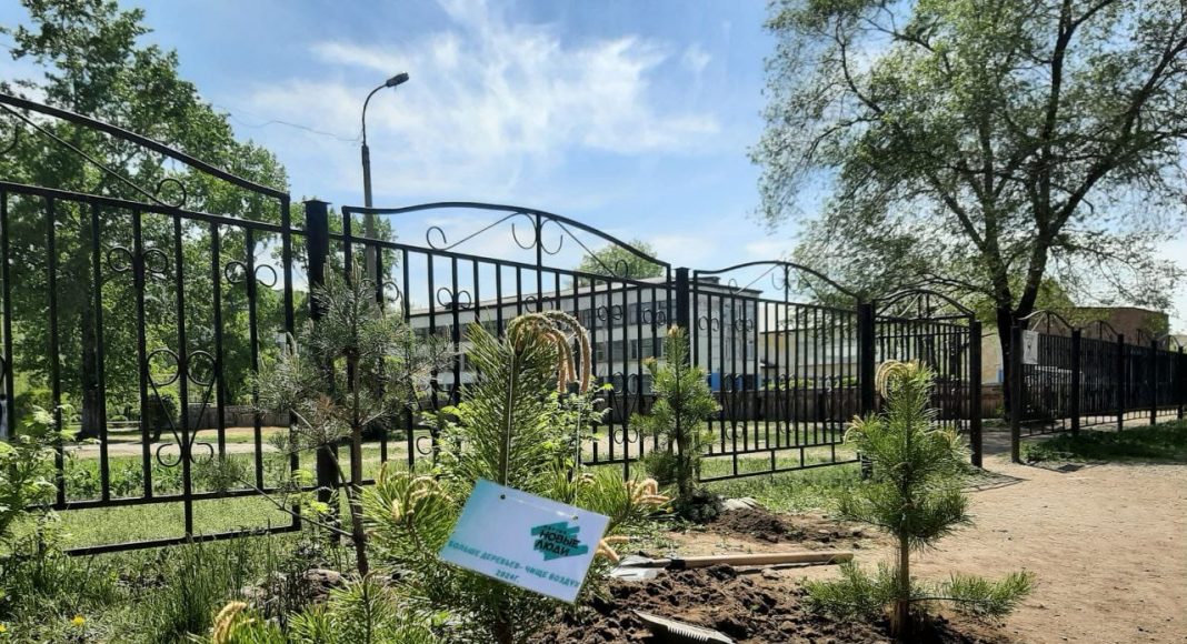 Фото предоставлено ХРО партии «Новые люди» Фото предоставлено ХРО партии «Новые люди»