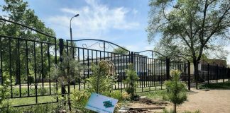 Фото предоставлено ХРО партии «Новые люди»