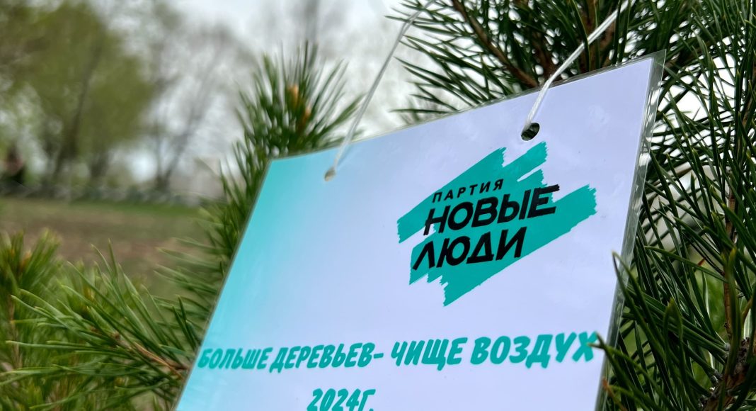 Больше деревьев - чище воздух. Фото предоставлено ХРО партии «Новые люди» Больше деревьев - чище воздух. Фото предоставлено ХРО партии «Новые люди»