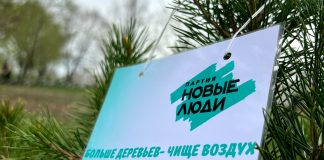 Больше деревьев - чище воздух. Фото предоставлено ХРО партии «Новые люди»