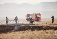 Степной пал. Фото МЧС по РХ