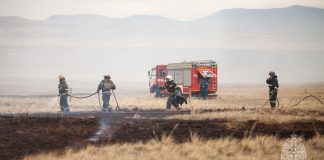 Степной пал. Фото МЧС по РХ