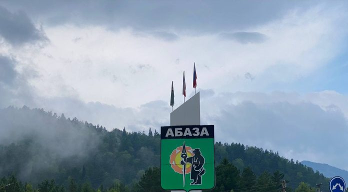 В Абазе обезвредили очередного медведя Абаза. Фото: pulse19.ru